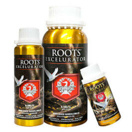 H&G Roots Excelurator
