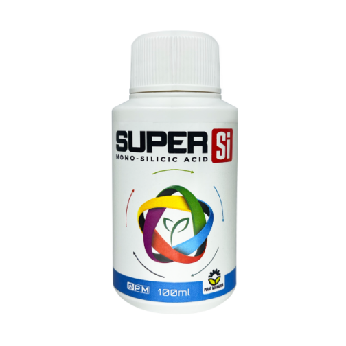 (SI) SUPER SI - Image 3