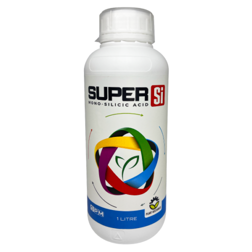 (SI) SUPER SI - Image 6