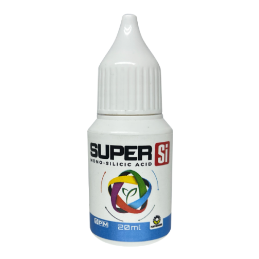 (SI) SUPER SI - Image 2