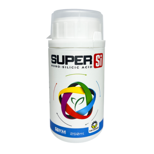 (SI) SUPER SI - Image 4