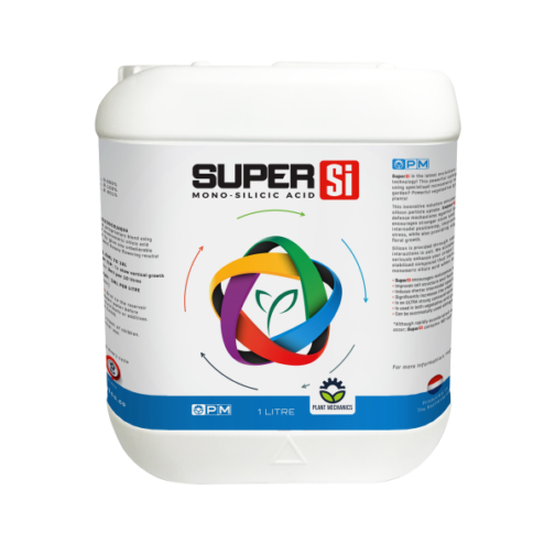 (SI) SUPER SI - Image 7