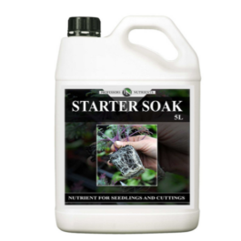 PROFESSOR’S STARTER SOAK