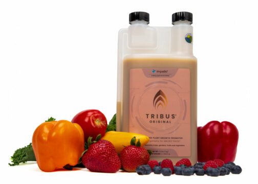 TRIBUS ORIGINAL MICROBIAL INOCULANT - Image 6