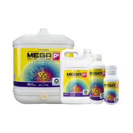 PM MEGA PK