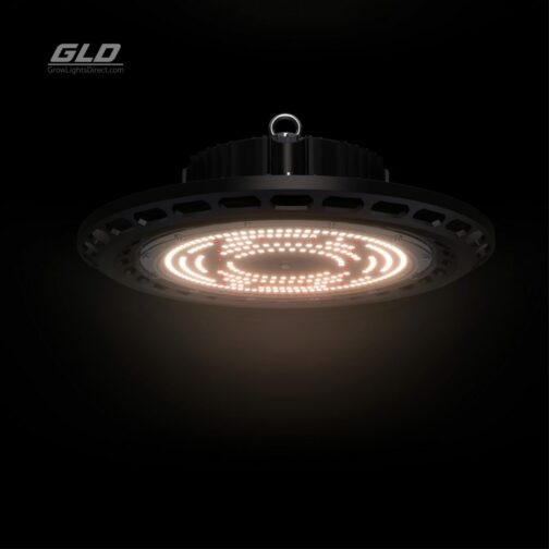 GLD 100W SATELIGHT UFO - Image 5