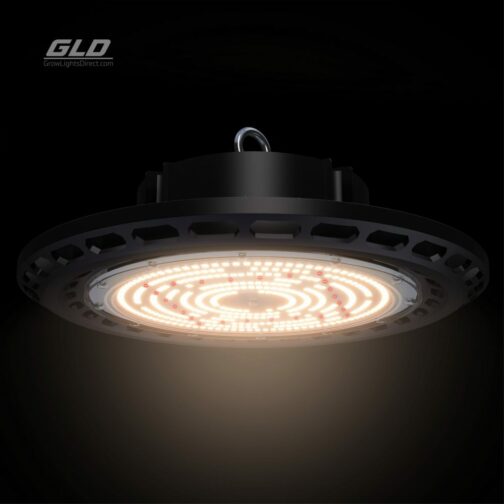 GLD 150W SATELIGHT UFO - Image 3