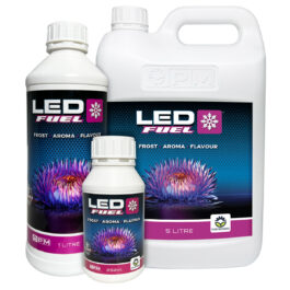 LED FUEL