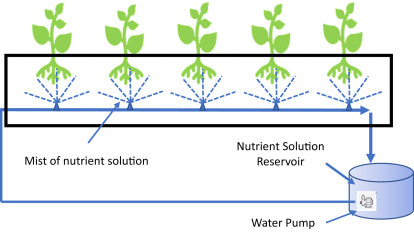 Read more about the article WHAT IS AEROPONICS?