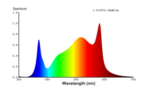 Read more about the article Tanning Your Plants: The Effects of UVA and UVB Light on Plant Growth
