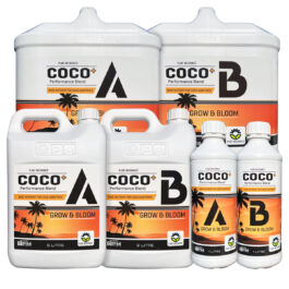 PM COCO+ A&B