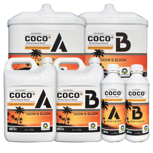PM COCO+ A&B