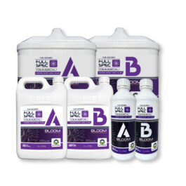 PM FULL SPEC BLOOM A&B