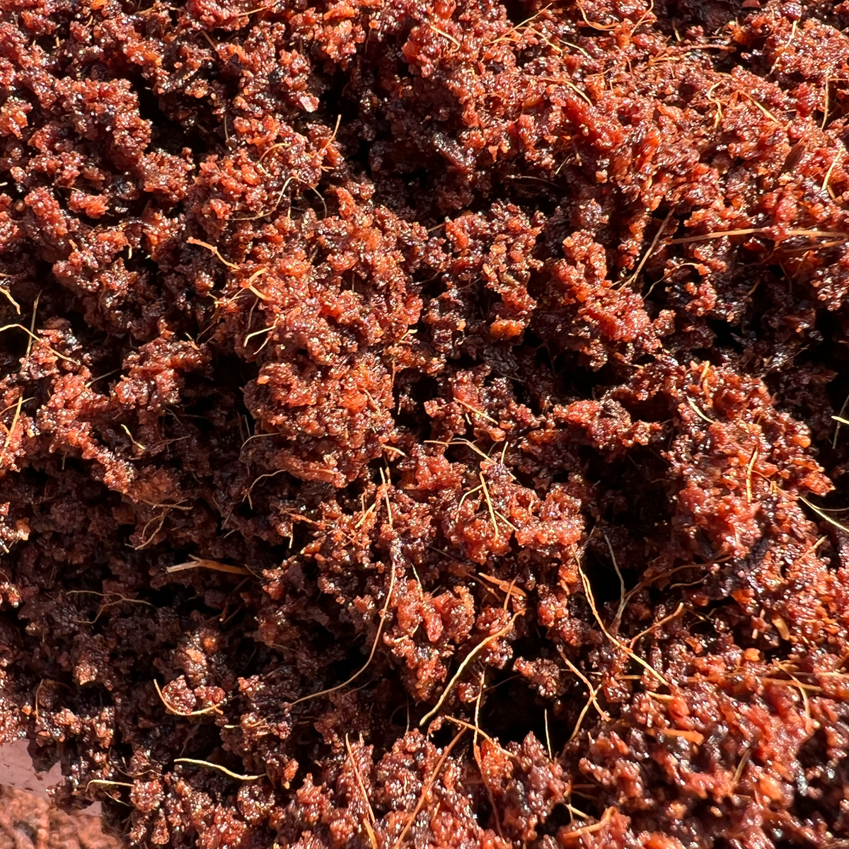 PM COCO PURE COMPRESSED BLOCK - Image 4