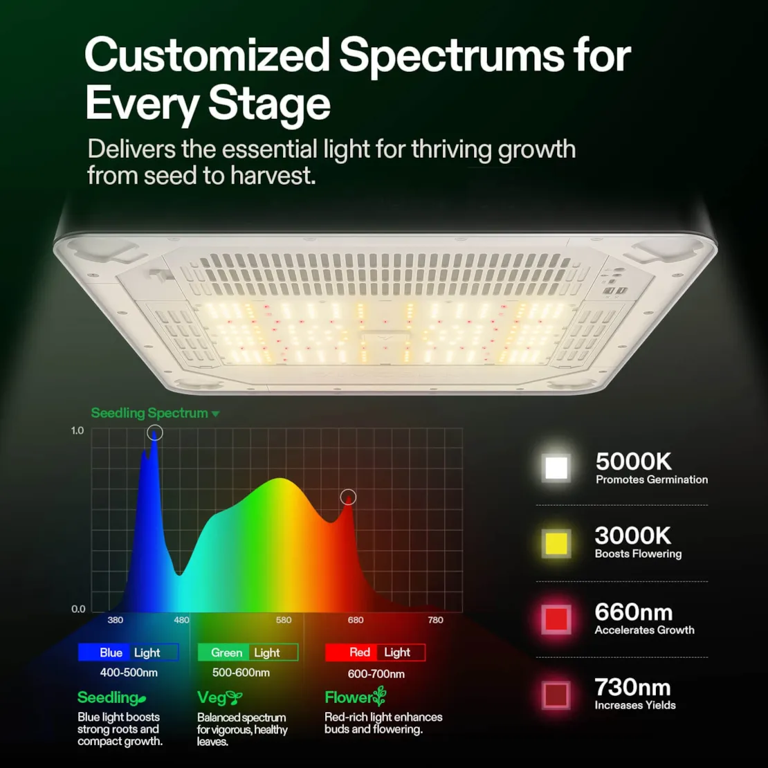 VIVOSUN VGROW INCLUDES EXCLUSIVE UPGRADE BOX + BONUS MINI RUN KIT FULL SPEC - Image 3